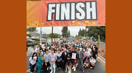 MLK Run