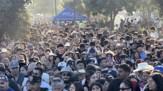 Carnaval Crowd