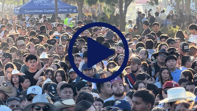 Crowd